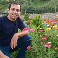 mohammad hashemnejad