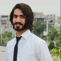 Hassan Wali Khan
