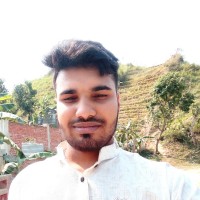 Md Al Amin Islam