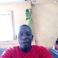 Adedeji A.  Olasunmade