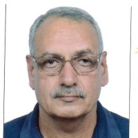 Bahadur Singh Shekhawat