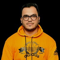 Majid Beigi
