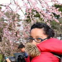 Daniela Ciprián Arratia