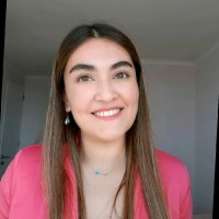 Karla Villarroel Mayorga