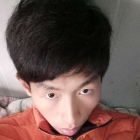 刘元猛