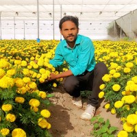 YOGESH NARKE