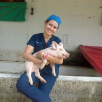 Jenifer A. Hurtado C.