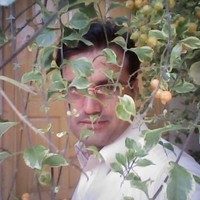 Anees Khan