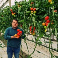 Miguel Jesús Cervantes Guerrero