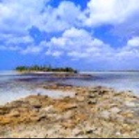 Bahama Hunter'S