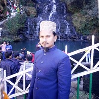 Md Sajid Hussain Salik