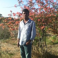 Madhu Reddy