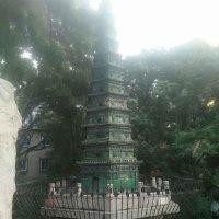 崔胜虎