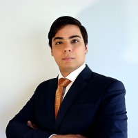 Leonardo Menegon