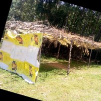 Winny Mokua
