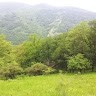 Kecskès Levente