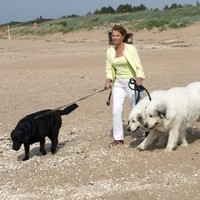 Agneta Normann