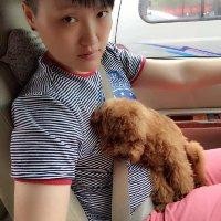 鲜小凤