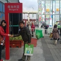 Antoniya Alexandrova