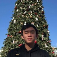 Tim Choy