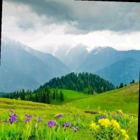 Zeshan Khan