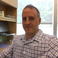 Matt Borsari