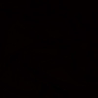 Mohammad Imtiyaz Ali