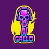 Producciones Gallotv