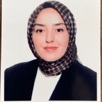 Demet Akkan Çeti̇ndaş