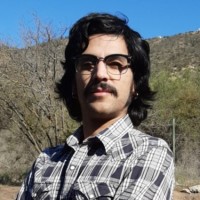 Diego Torres Massardo