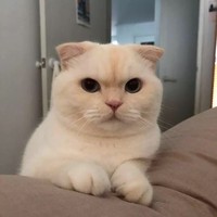 蒋欣春