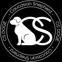 DIGITAL AGE Development