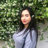 lara hamdan