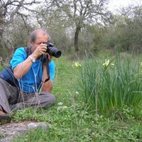Didi Kaplan