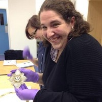 Liz Weisblatt