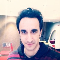 Hamed Gholami