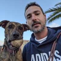 Jesús Rodríguez Acosta