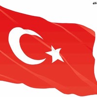 Y Ozcam
