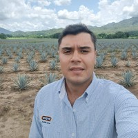 Jesús Salvador Llamas Medina