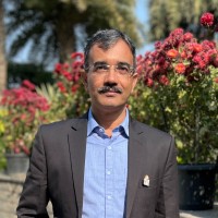 Manoj Gajjar