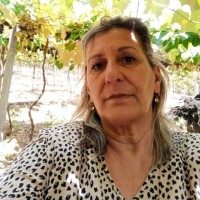Marlene Fabrin