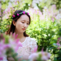 Shirley Hou