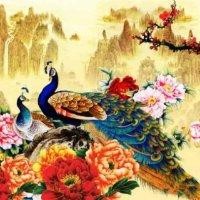 花的海
