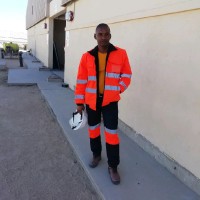 Willem Marius Links