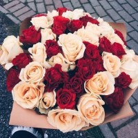 منوعات بلا حدود