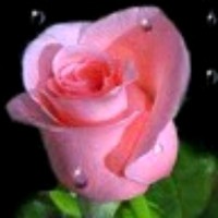 Shwetha Simmy
