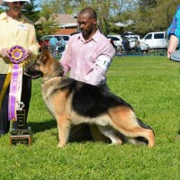 Channing Sheets, MSEd, RVT, RBP