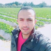 Islam Gamal El-Den