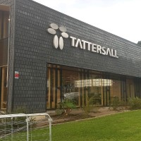 Marco Daza Hernandez