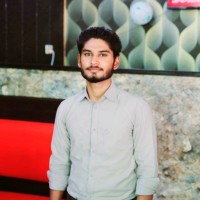 Rana Ali Hasan
